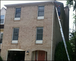 Bat exclusion in Beavercreek OH