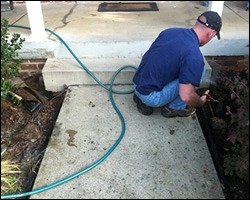Dead animal removal Beavercreek OH